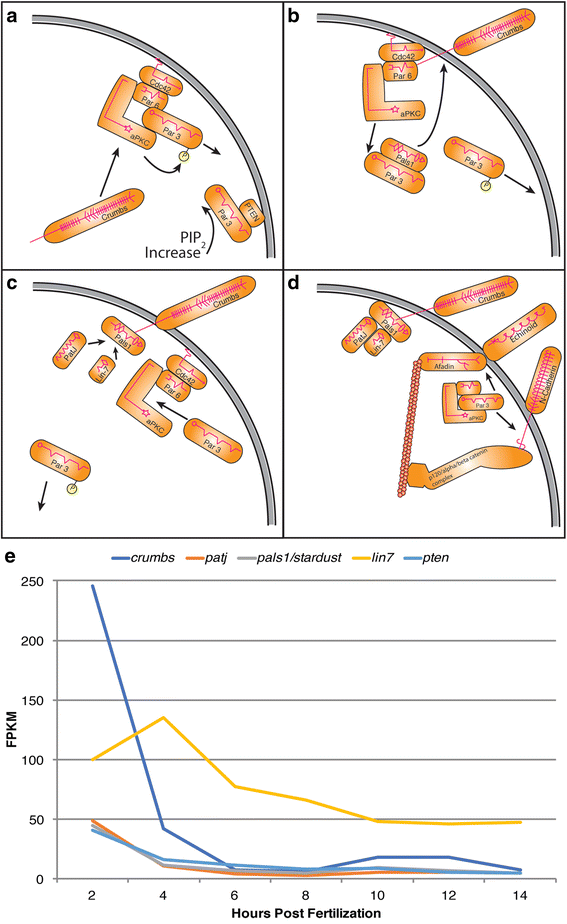 Fig. 5