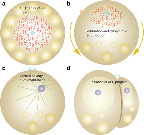 Fig. 9