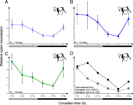 Fig. 3