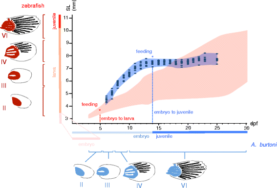 Fig. 14