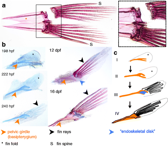 Fig. 9