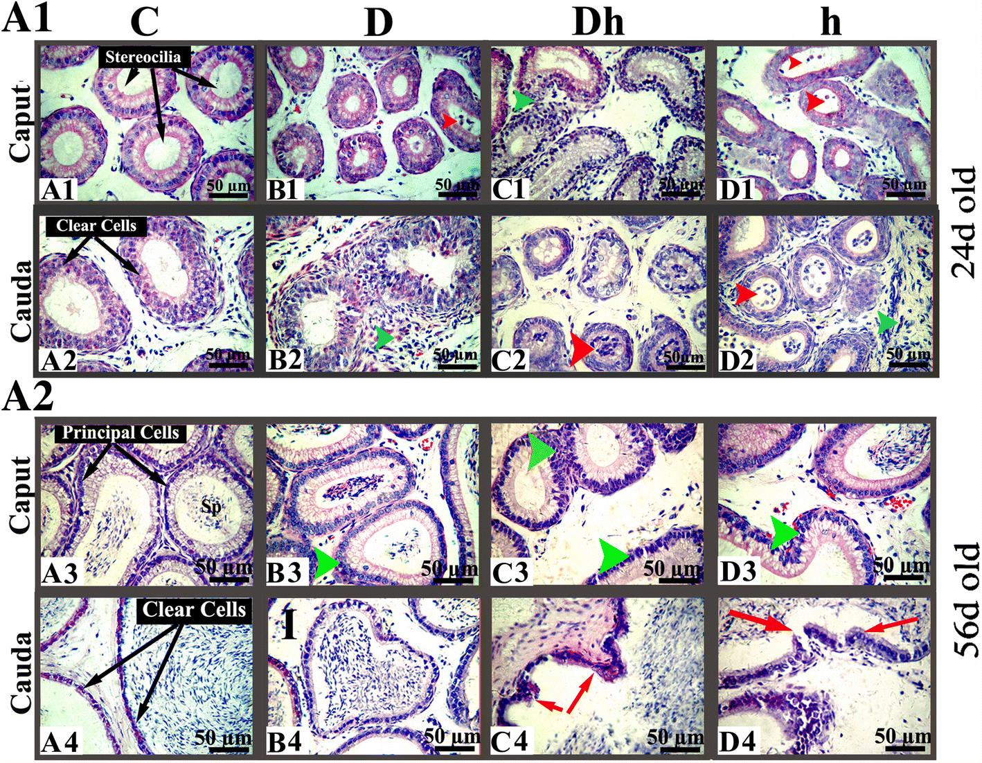 Fig. 4