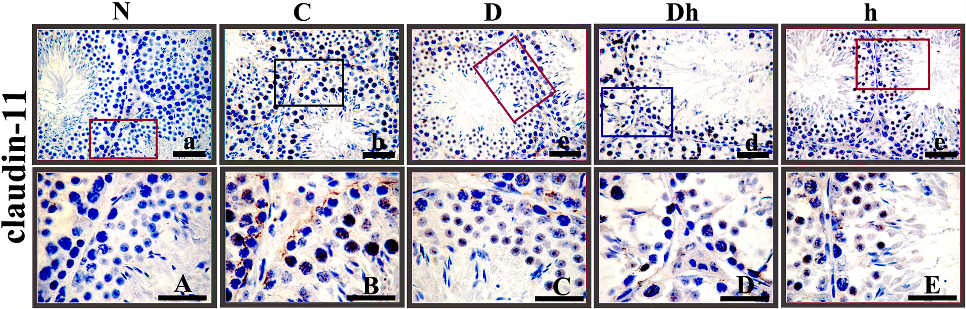 Fig. 5