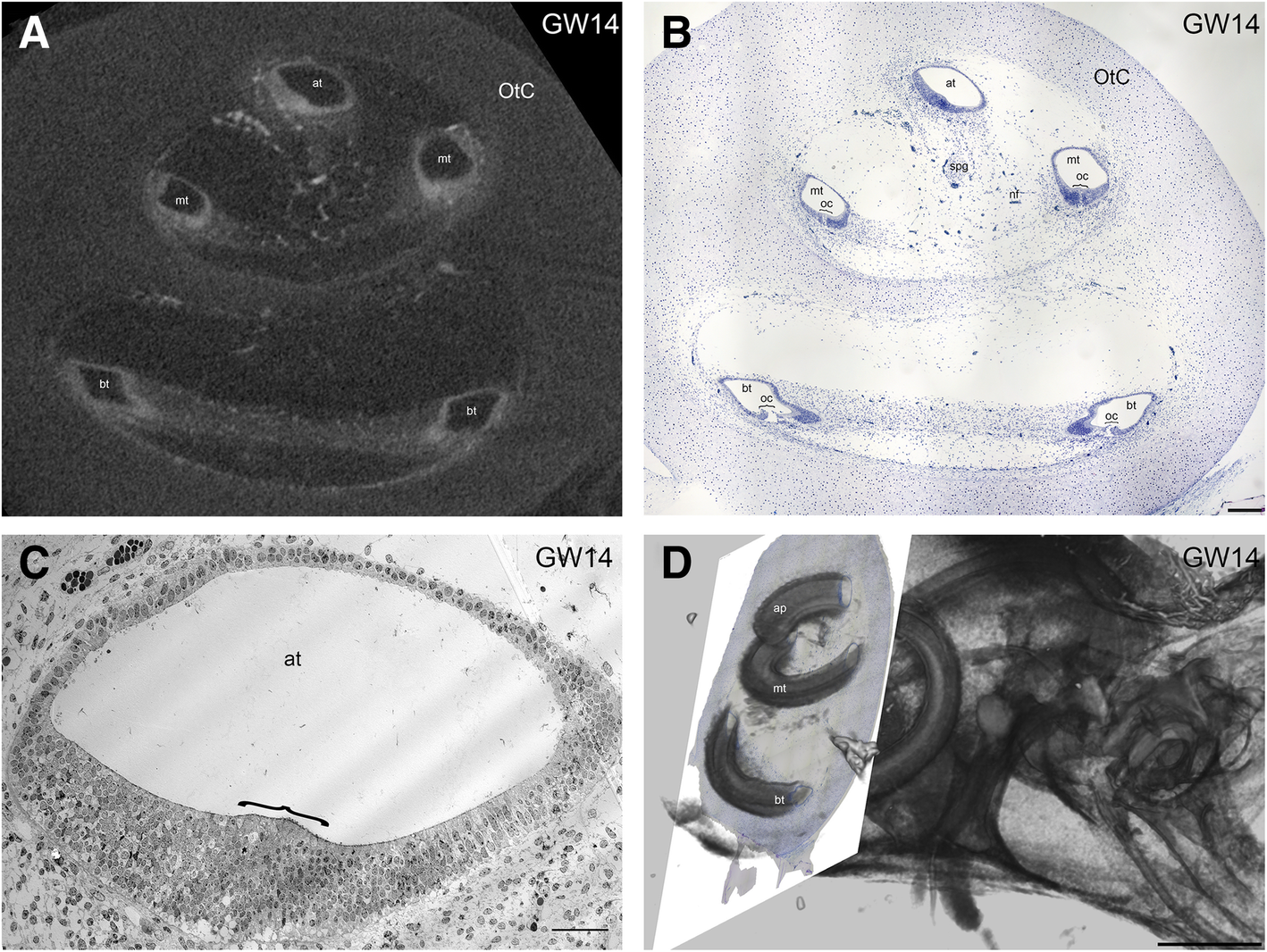 Fig. 9