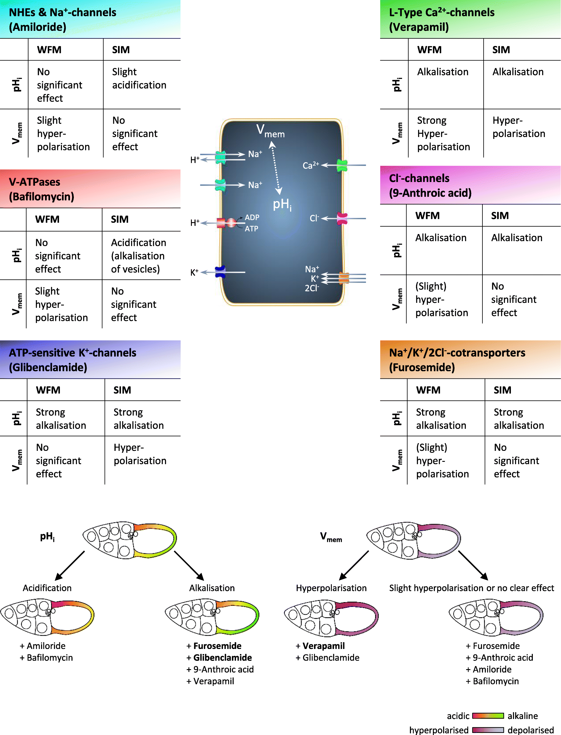 Fig. 9