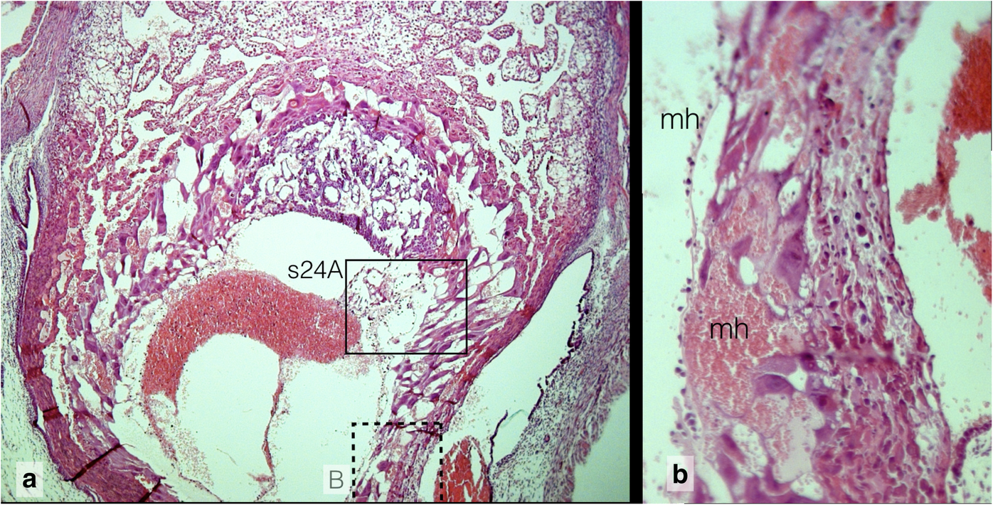 Fig. 9