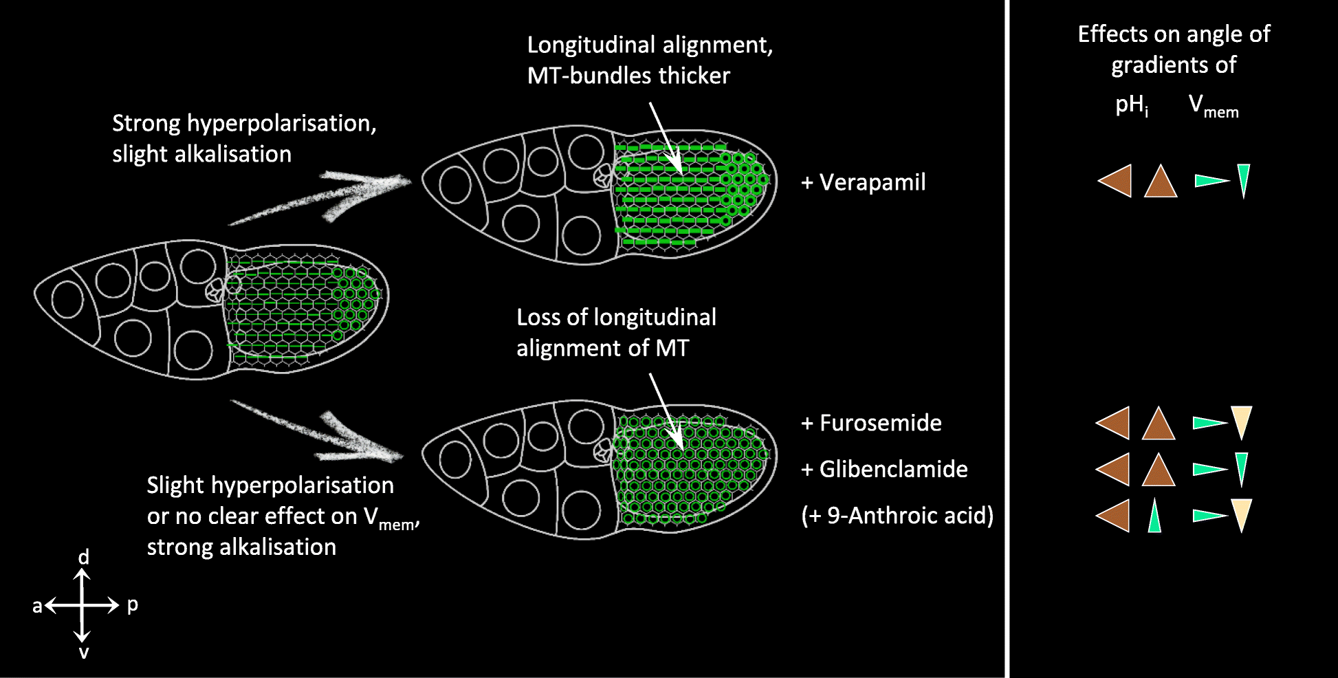 Fig. 10