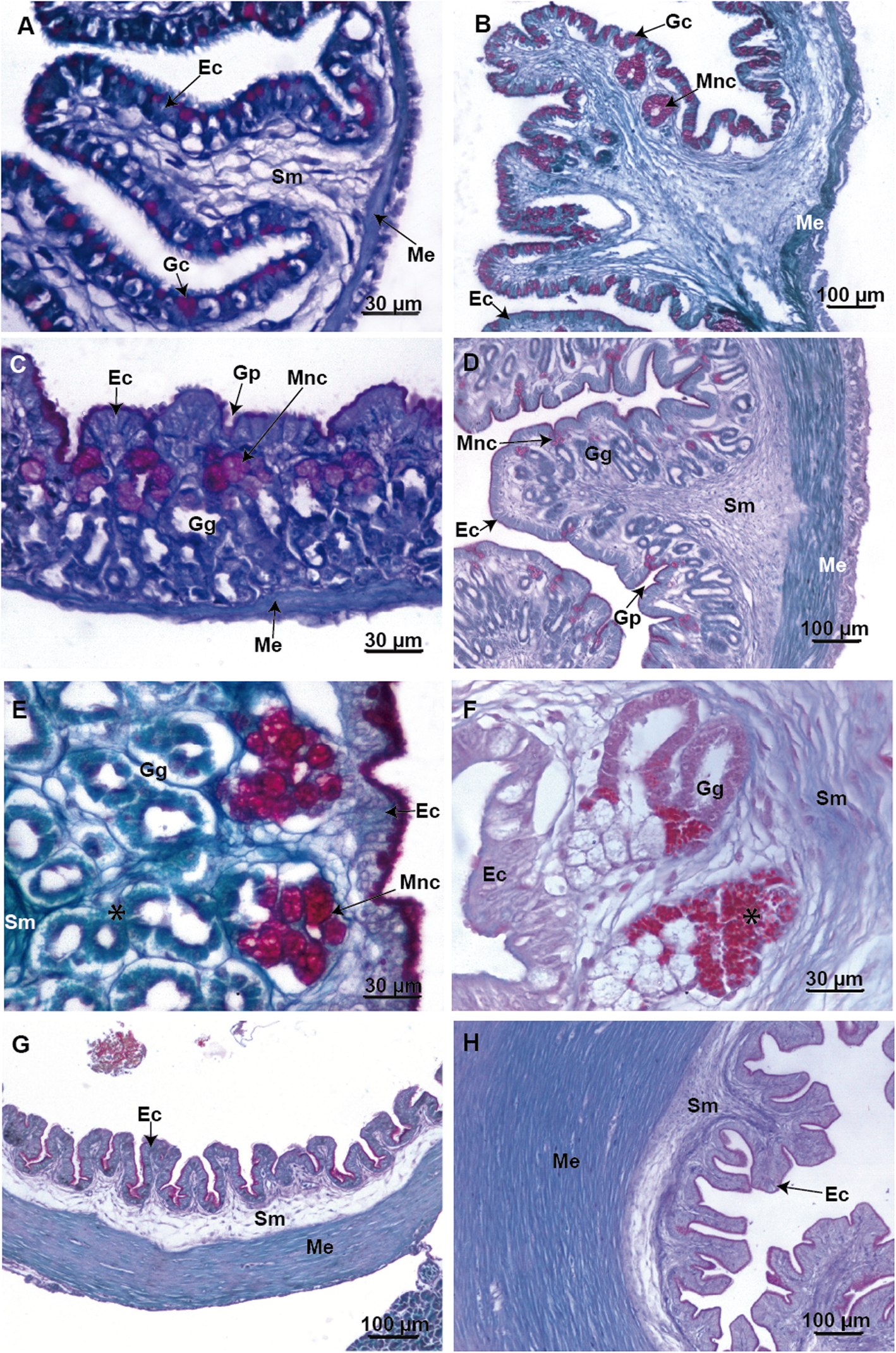 Fig. 6