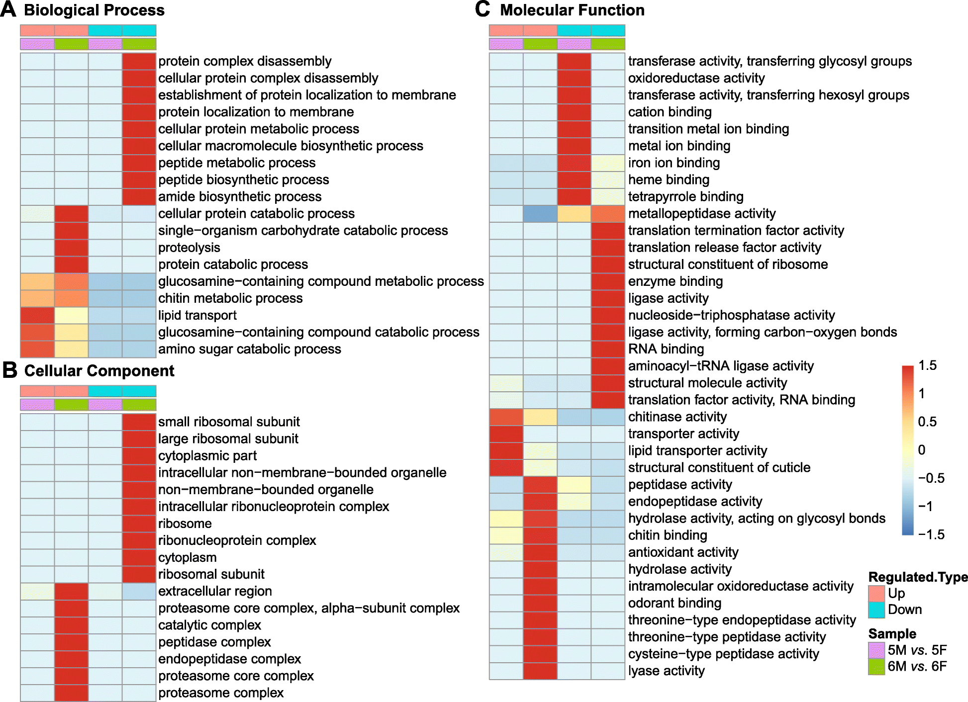 Fig. 3