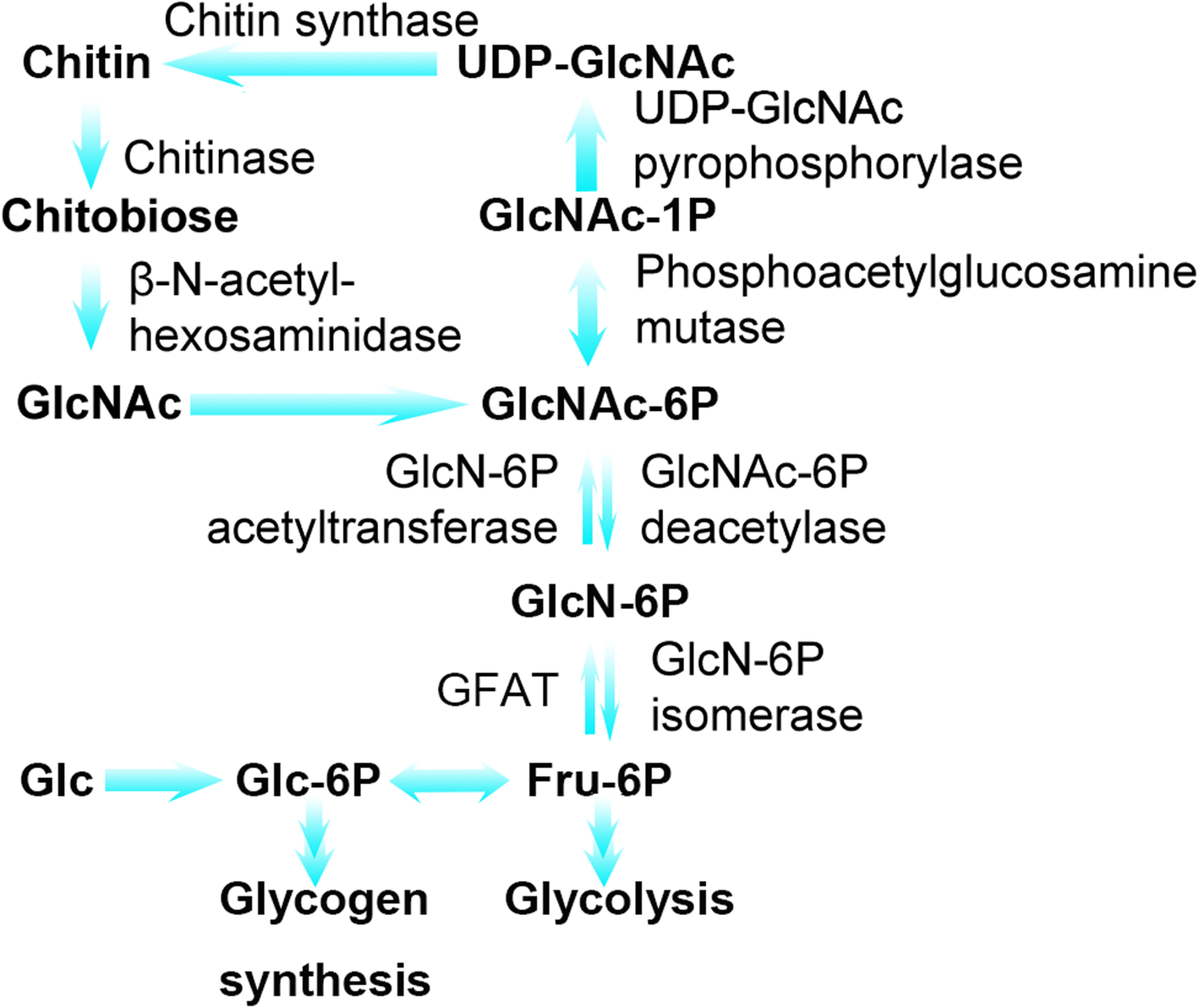 Fig. 6