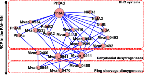 Figure 13