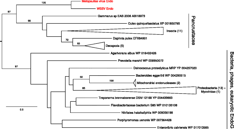 Fig. 9