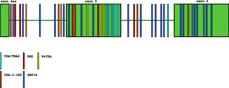 Fig. 7