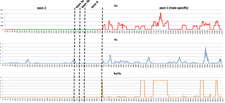 Fig. 8