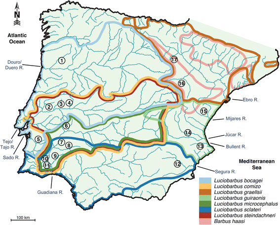 Fig. 1