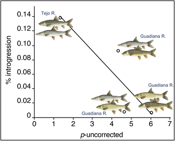 Fig. 9