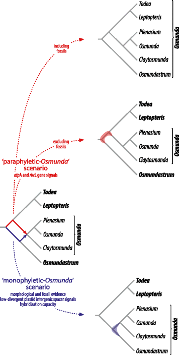 Fig. 12