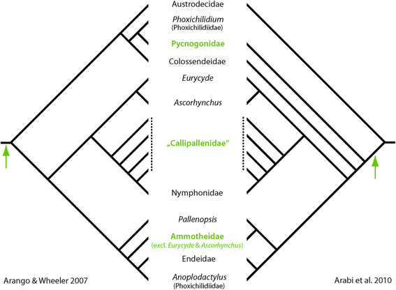 Fig. 10