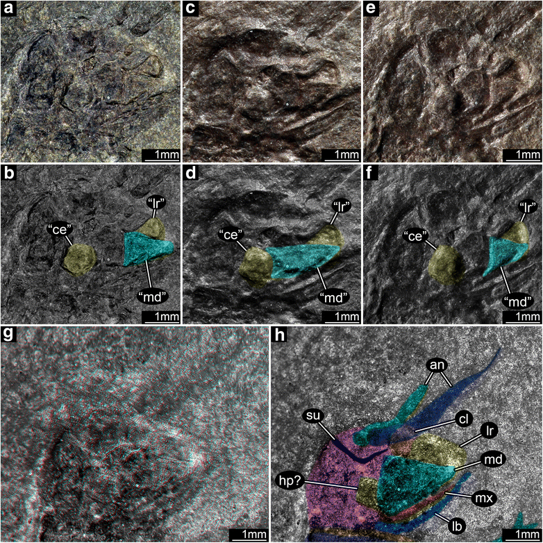 Fig. 2