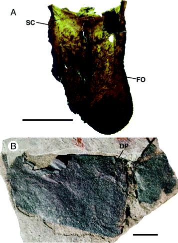 Fig. 17