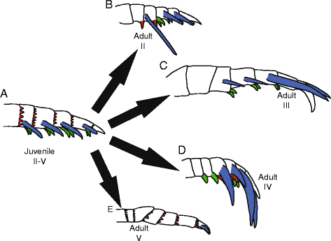 Fig. 25