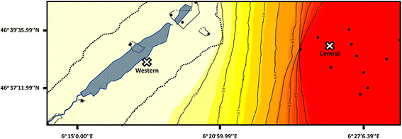 Fig. 1