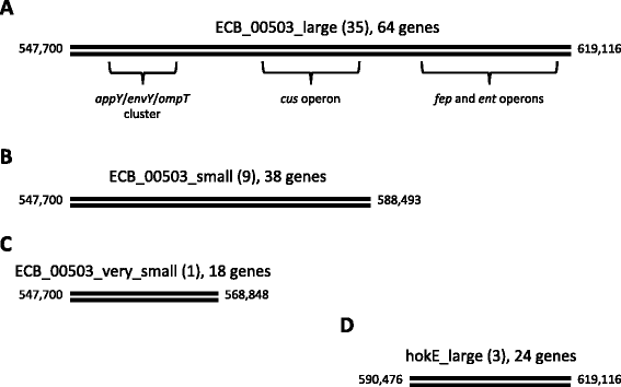 Fig. 5