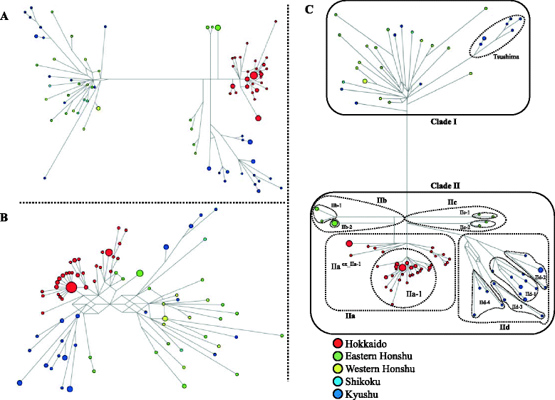 Estimating the molecular evolutionary rates of ... iid wiring diagram 