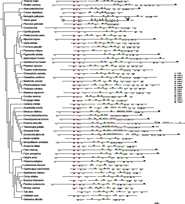 Fig. 3