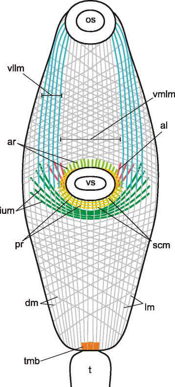 Fig. 9