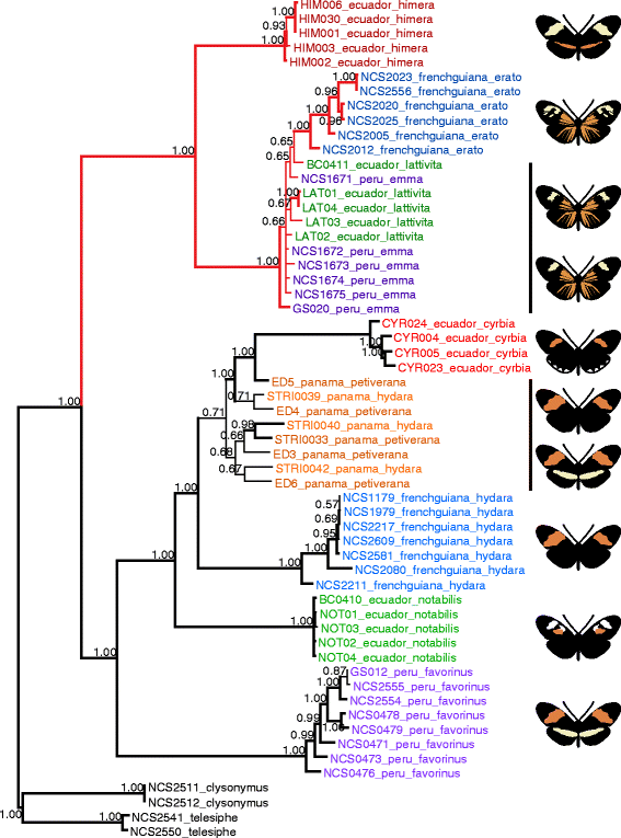 Fig. 3