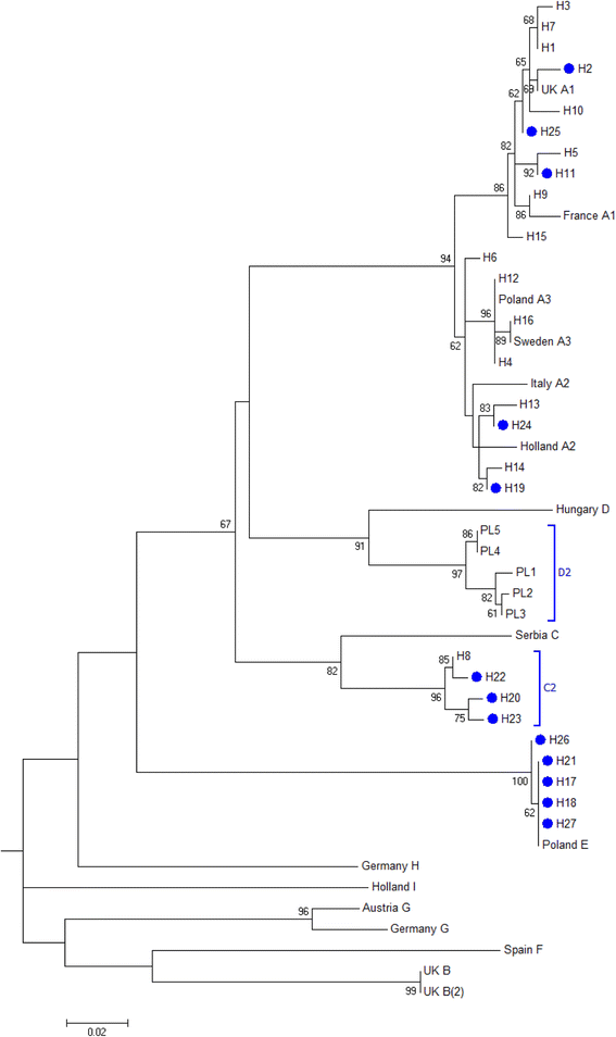 Fig. 2