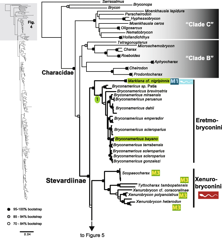 Fig. 4