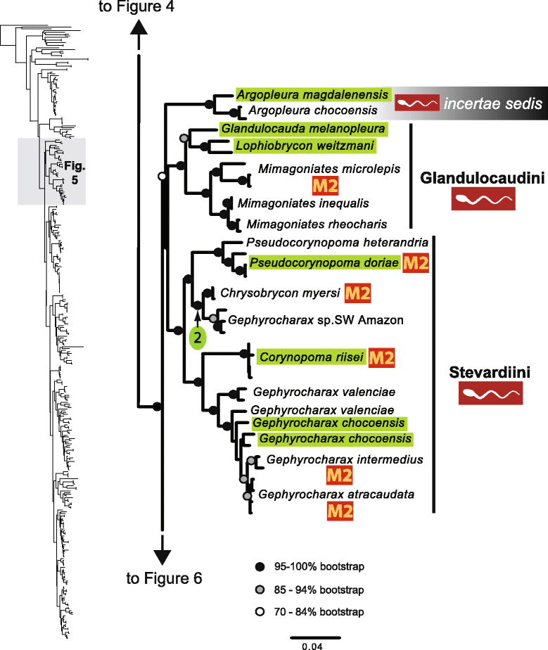 Fig. 5