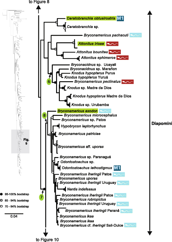 Fig. 9