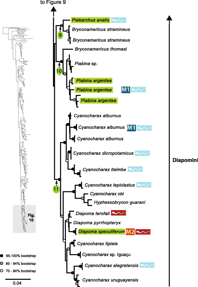 Fig. 10