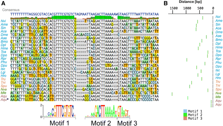 Fig. 7