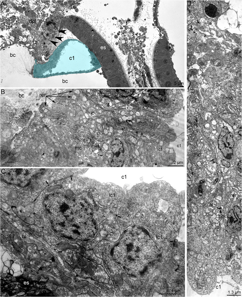 Fig. 11