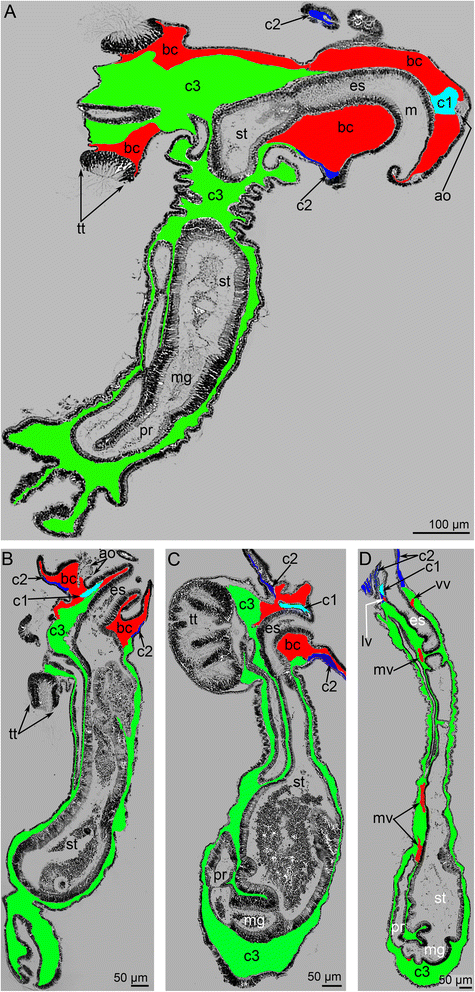 Fig. 4