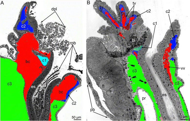 Fig. 9