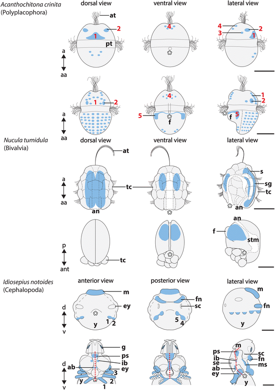 Fig. 5