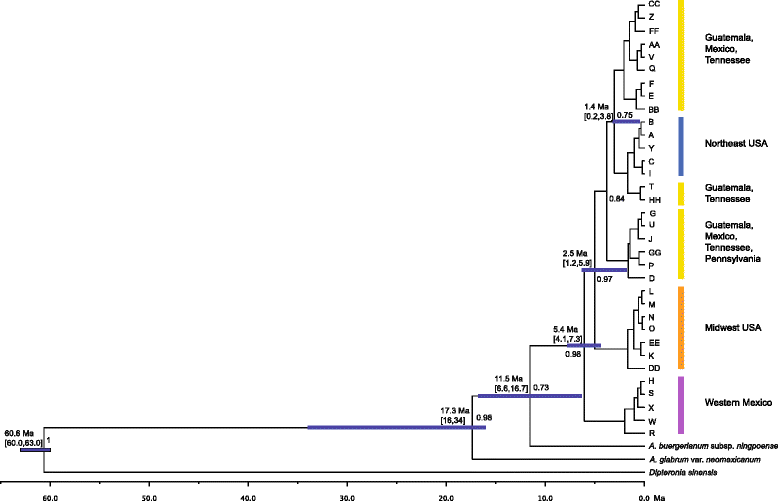 Fig. 2