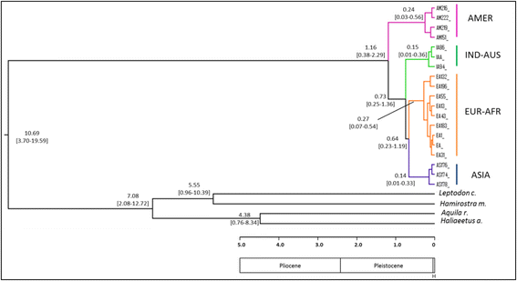 Fig. 5