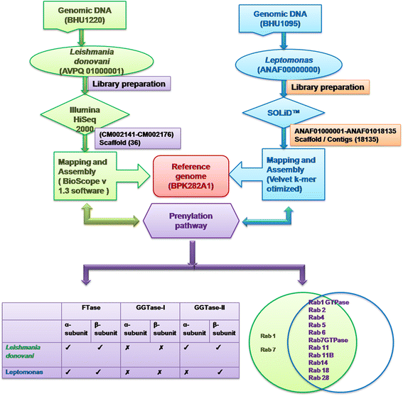 Fig. 11