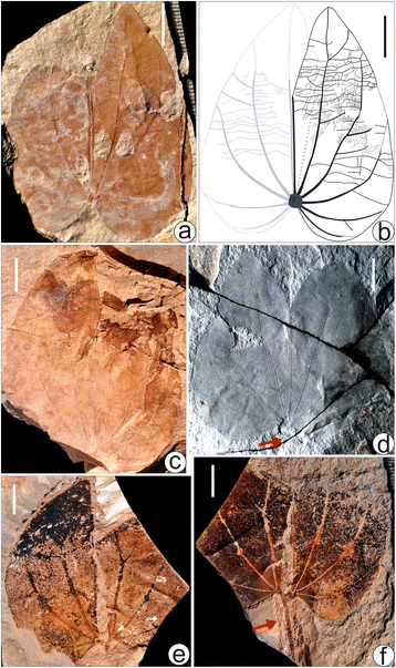 Fig. 6