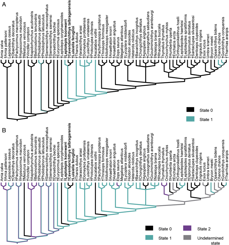 Fig. 4