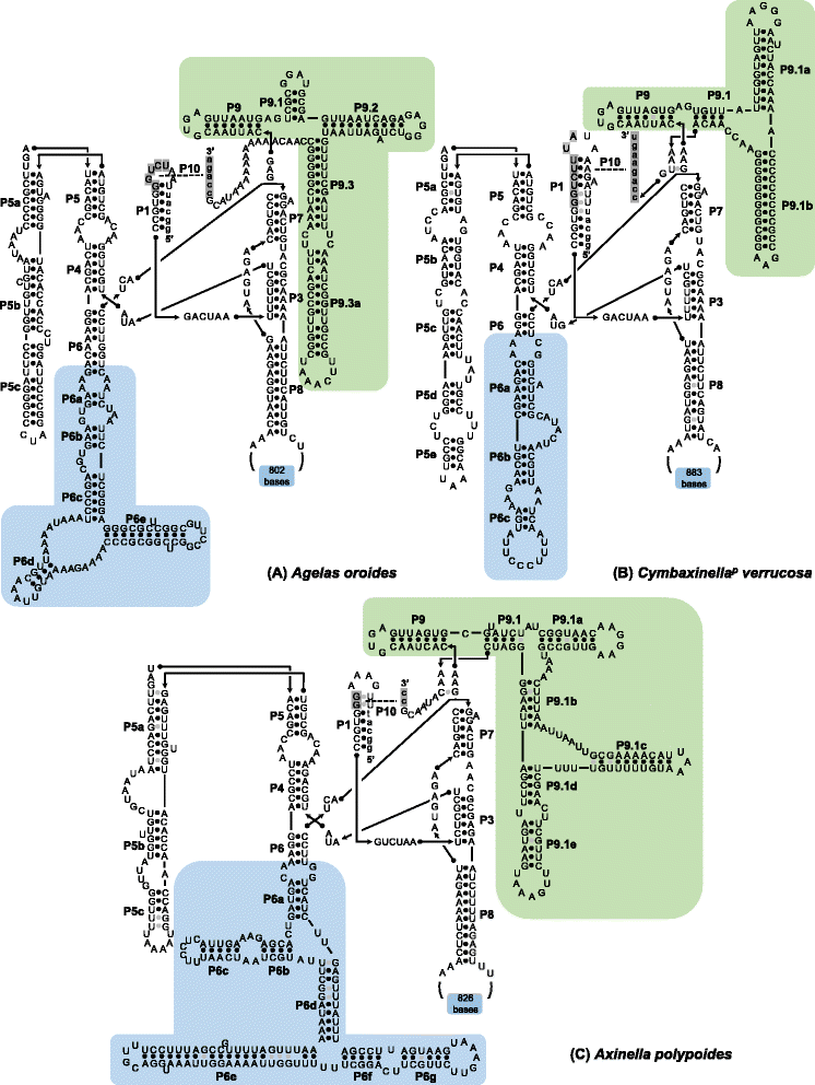 Fig. 2