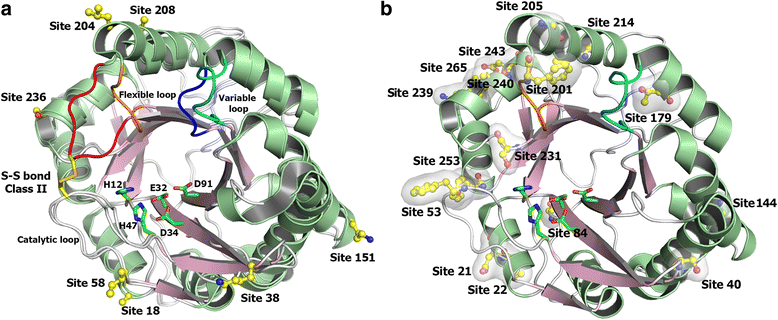 Fig. 9