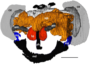 Fig. 3