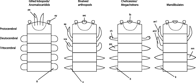 Fig. 10